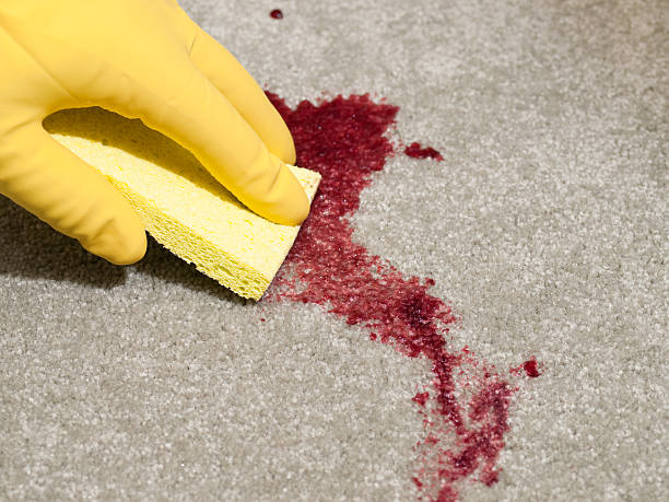 How To Clean Up Blood: Step-by-step Guide